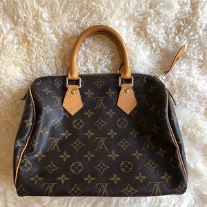 Louis Vuitton Speedy Bag